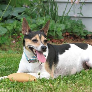 Meet your Posher, Nancy